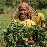 brics agricultural cooperation and food security