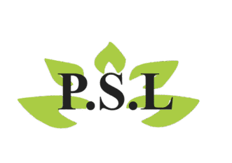 Strategic Solutions Consultancy Abuja – Nigeria