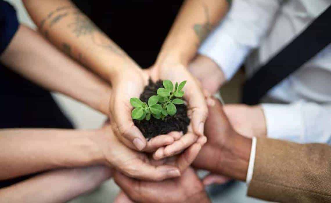 social responsibility