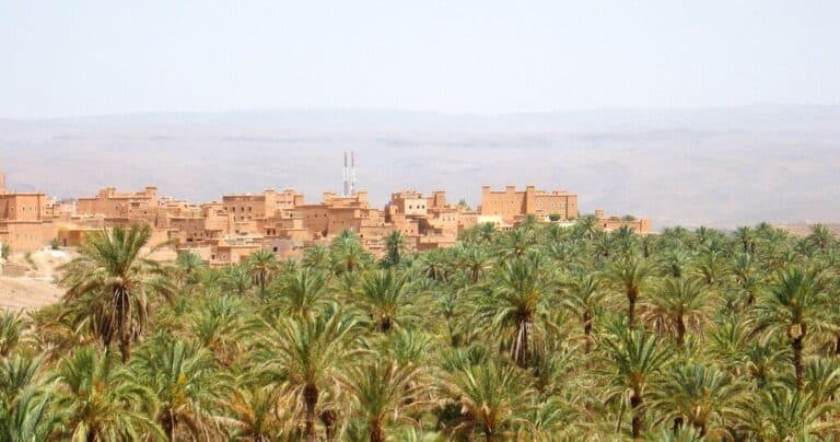 Desert oasis with palm trees and mud-brick village