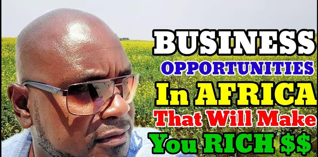 many business opportunities in africa that will make you rich.