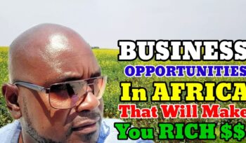 many business opportunities in africa that will make you rich.