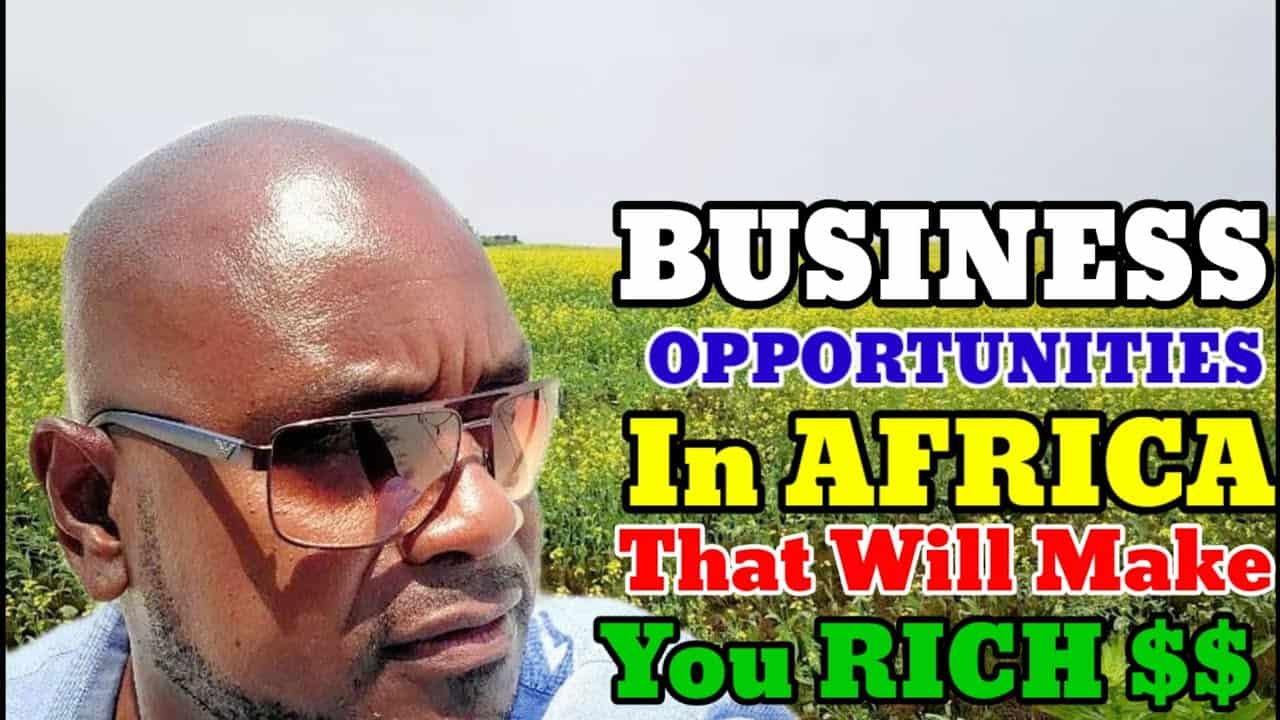 many business opportunities in africa that will make you rich.