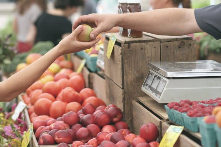 Vendor handing apple to customer at farmers market