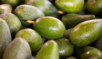 feel free to modify these suggestions to suit your specific angle or target audience!