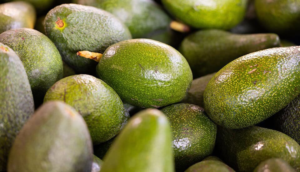 feel free to modify these suggestions to suit your specific angle or target audience!