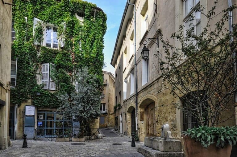 Ivy-covered building along narrow cobblestone European street