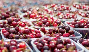 adapting to diversity: customizing your approach for different african markets