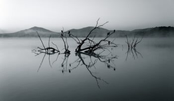 navigating global challenges: how brics plans to tackle climate change in 2024