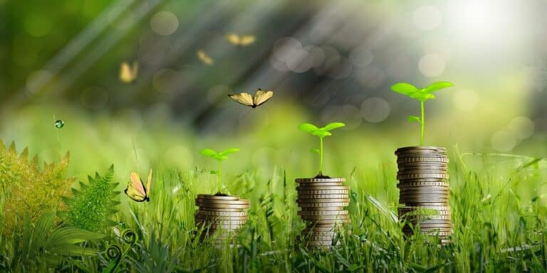 Coins stacked with seedlings symbolizing financial growth