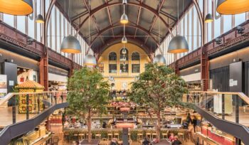 empowering africa: the role of the african business council in promoting economic growth