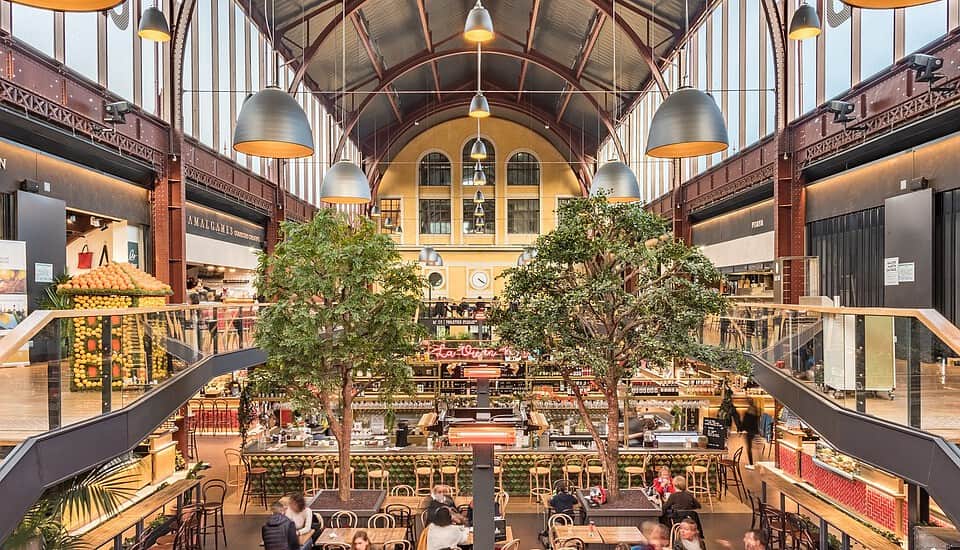 empowering africa: the role of the african business council in promoting economic growth