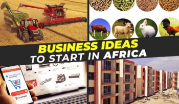 top 10 business ideas to start in africa 2024