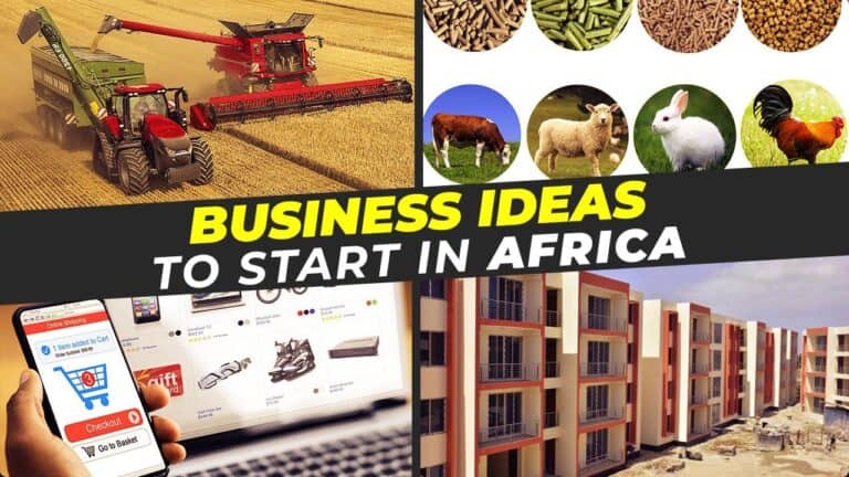 Business ideas to start in Africa: farming, ecommerce, real estate