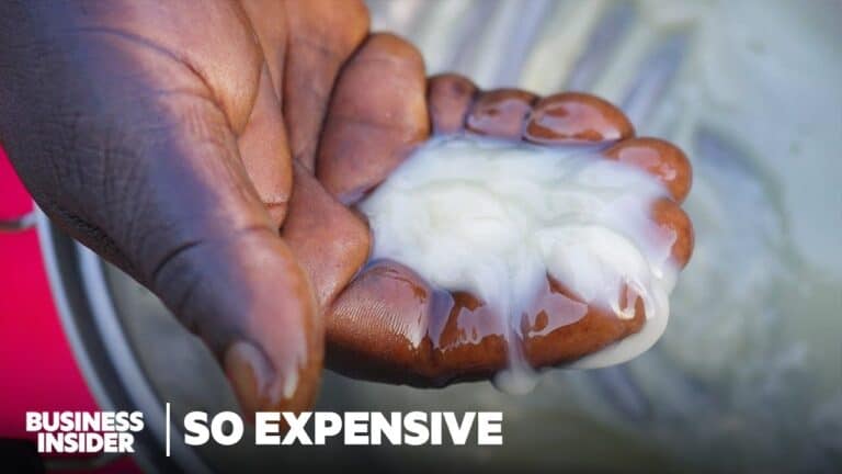 Hand holding white fish milt delicacy