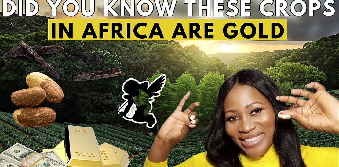 Woman promoting profitable African crops with gold imagery