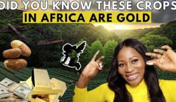 these 10 agriculture business ideas in africa will make you a millionaire fast