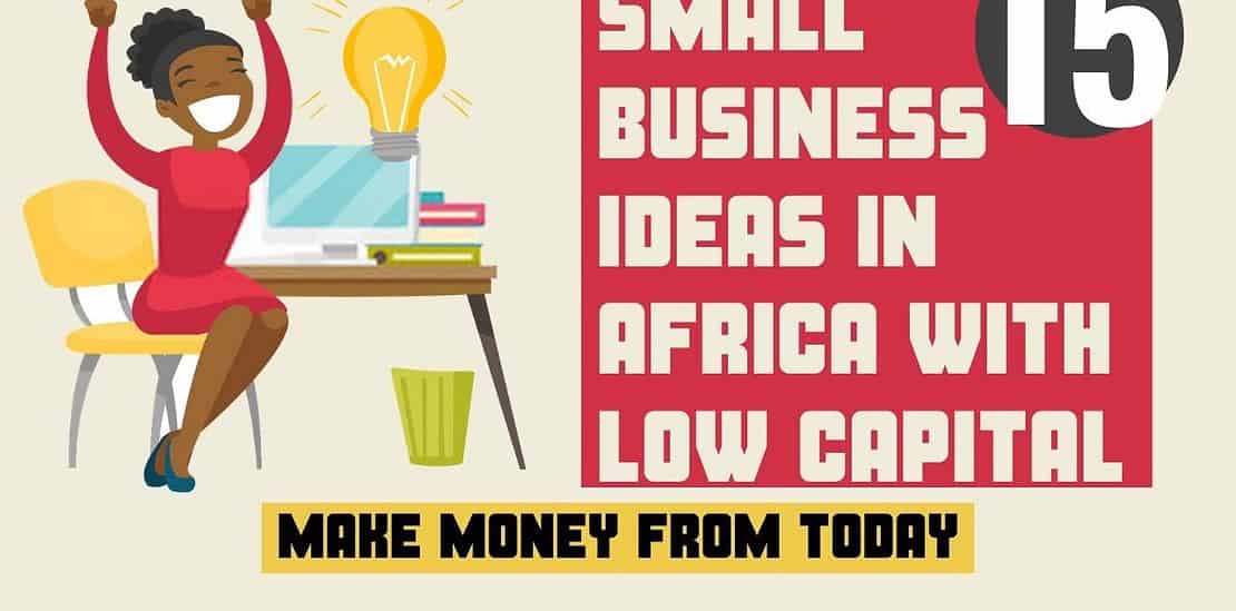 top 15 small business ideas in africa with low capital