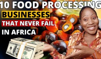10 most profitable food processing businesses that would make you a millionaire in africa 2024