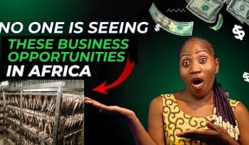 1763542247 maxresdefault.jpg