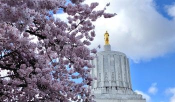 finance act interpretation implementation advisory