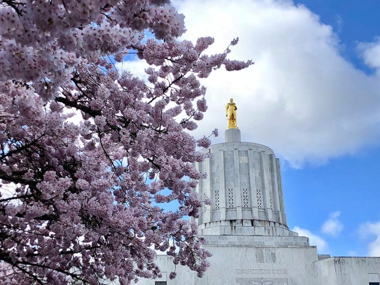 Cherry blossoms framing Oregon State Capitol building
