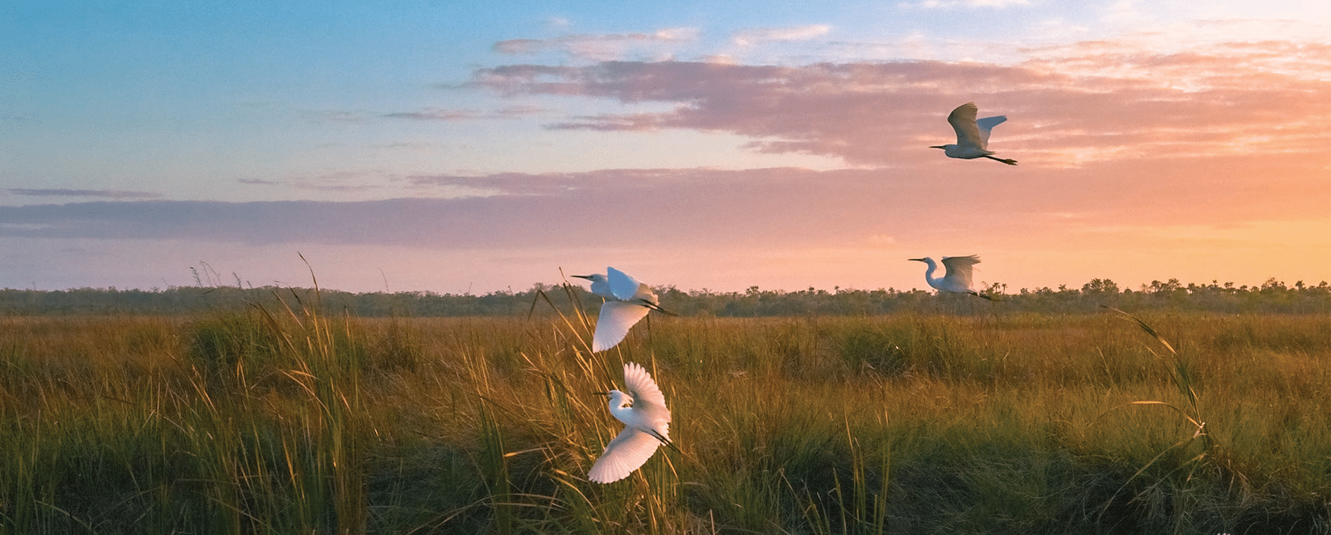 pharmaceutical waste management environmental compliance