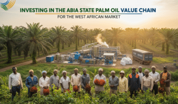 investing in the abia state palm oil value chain for