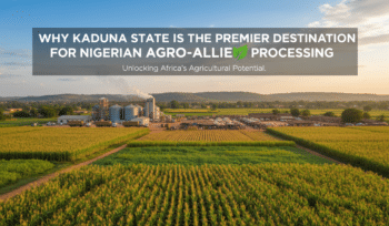 why kaduna state is the premier destination for nigerian agro allied