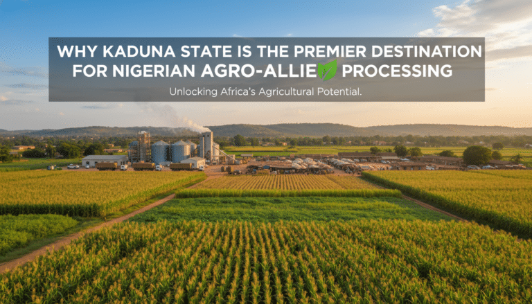 Cornfields and agro-processing plant in Kaduna State