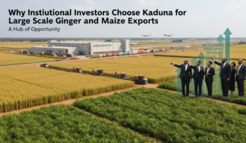 why institutional investors choose kaduna for large scale ginger and